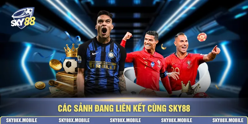 Các sảnh đang liên kết cùng SKY88