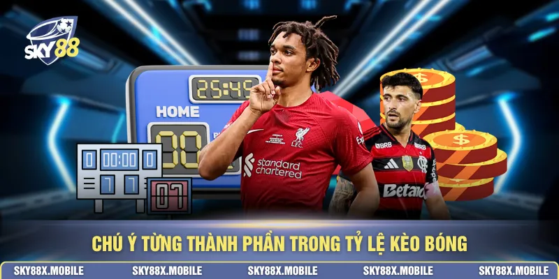Chú ý từng thành phần trong tỷ lệ kèo bóng