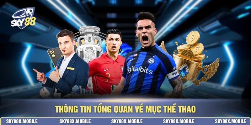 Thông tin tổng quan về mục thể thao